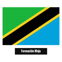 Flag Pixel Art Sticker by Formación Ninja