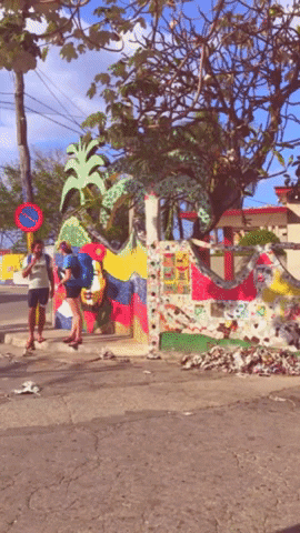 jprobst12 giphygifmaker GIF