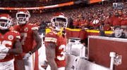 Frustrated 2018 Nfl GIF by NFL