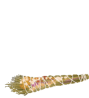 Energia Sticker by Leohestudio