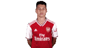 Celebrate Premier League Sticker by Arsenal