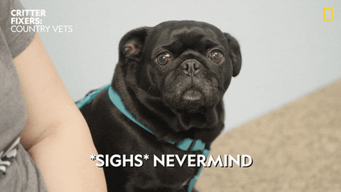 National Geographic Sigh GIF by Nat Geo Wild