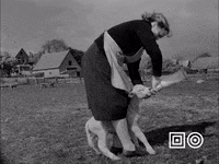 Vintage Shopping GIF by Beeld & Geluid