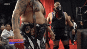 Posing Tag Team GIF by United Wrestling Network