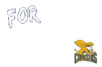 Basketball Goal Sticker by Canisius Athletics