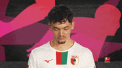 Fc Augsburg Football GIF by Bundesliga