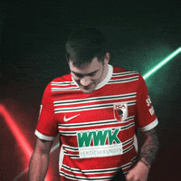 Bundesliga David GIF by FC Augsburg 1907