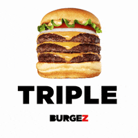 Burgez burgez instaburgez GIF