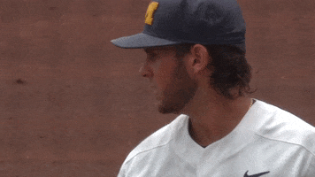 umichathletics michiganbaseball hattip kauffmann GIF