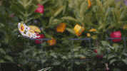 spring fever community garden GIF by Hallmark Channel