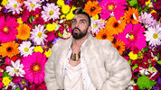 angry shout GIF by MAGIC GIANT