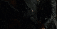 #criminalminds GIF by CBS