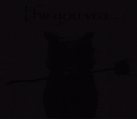 W Sigma GIF by STRAPPED!