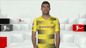 borussia dortmund love GIF by Bundesliga