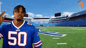 Buffalo Bills GIF by Northtown Auto