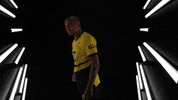 Celebrate Germany GIF by Bundesliga