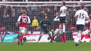 london football GIF by Tottenham Hotspur