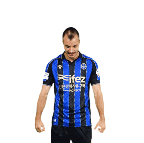 Football Soccer Sticker by Incheon United FC