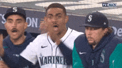 Sport What GIF by MLB