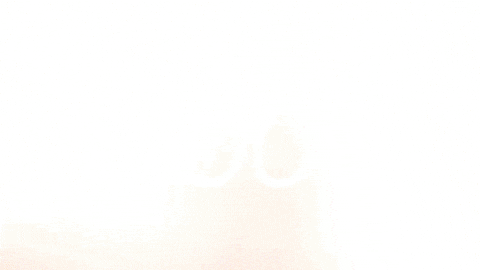 Celebration Goal GIF by FC Red Bull Salzburg