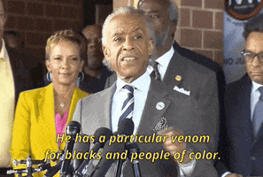 news donald trump al sharpton GIF