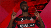 Western Sydney Wanderers Goal GIF by wswanderersfc