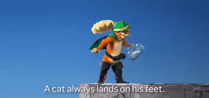 A Cat Always Lands On His Feet