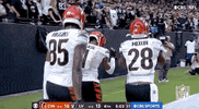 Bengal Tiger Football GIF by NFL