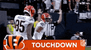 Bengal Tiger Football GIF by NFL