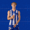 North Melbourne Afl GIF by NMFCOfficial