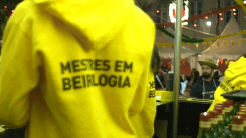 portugal festa GIF by Licor Beirão