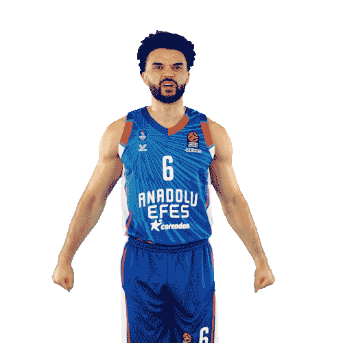 Basketball Celebration Sticker by Anadolu Efes SK