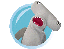 Shark Bubbles Sticker by Aquarium of the Pacific