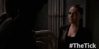 season 1 GIF by The Tick