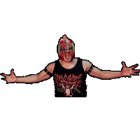 Lucha Libre Wrestling Sticker