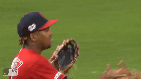 major league baseball sport GIF by MLB