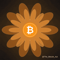 Btc GIF by The Bitcoin Act