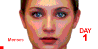 menstruation GIF