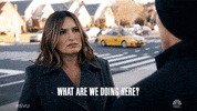 Law And Order Svu GIF by NBC
