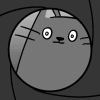 Tracking Staring Contest GIF by MESA My Emotional Support Animal