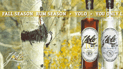 Happy Hour Party GIF by Yolo Rum