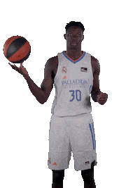 Real Madrid Basketball Sticker by ACB