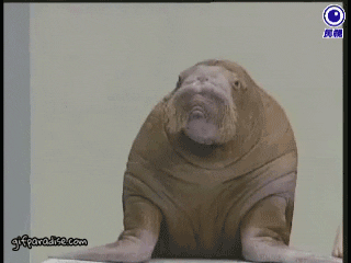 Interested GIF by reactionseditor