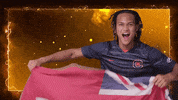 Flag Bermuda GIF by Carson-Newman Athletics
