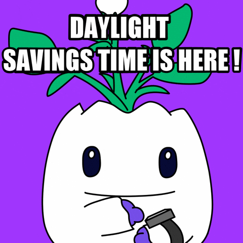 Time Fall Back GIF by Magic Eden