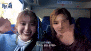 Wave Australia GIF