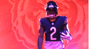 Football Nfl GIF by Chicago Bears