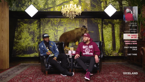i don't know whatever GIF by Desus & Mero