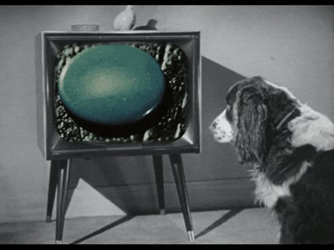 Marc Rodriguez Art GIF