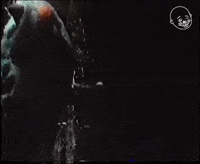 Strangers In Paradise GIF by Eternal Family